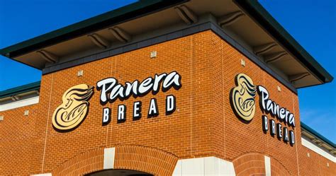 panera st louis locations